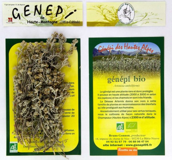 Génépi jaune -genepi05.fr - sachets de génépi bio 5 g -