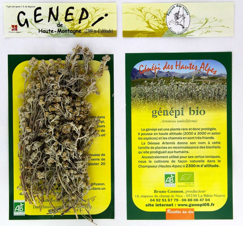 Sachet de brins de génépi jaune bio Récolte 2023 - 5 g – Génépi des  Hautes-Alpes