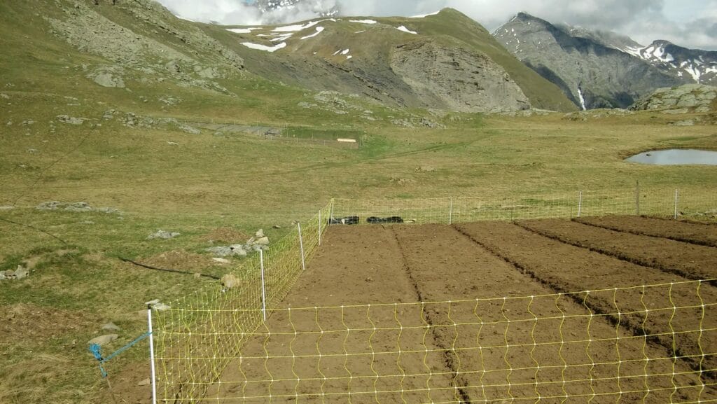 Travail du sol et préparation des plate-bandes