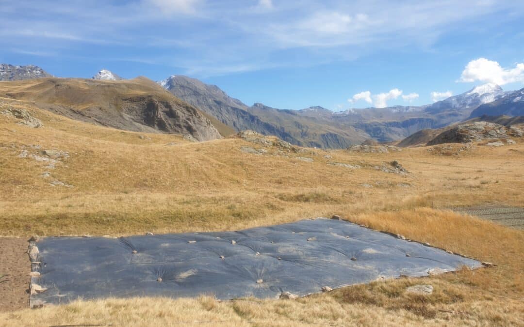 J’ai « bâché »