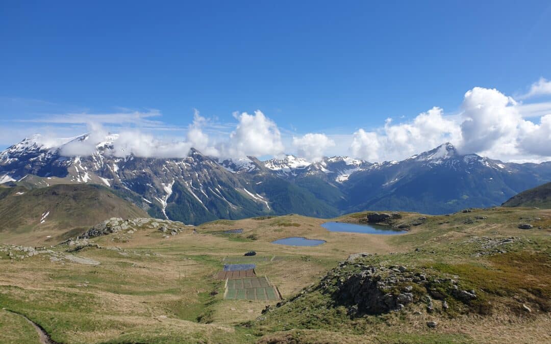 Retour sur le Printemps